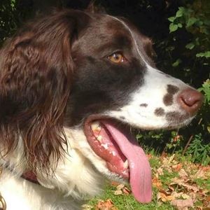 Meet your Posher, Ed